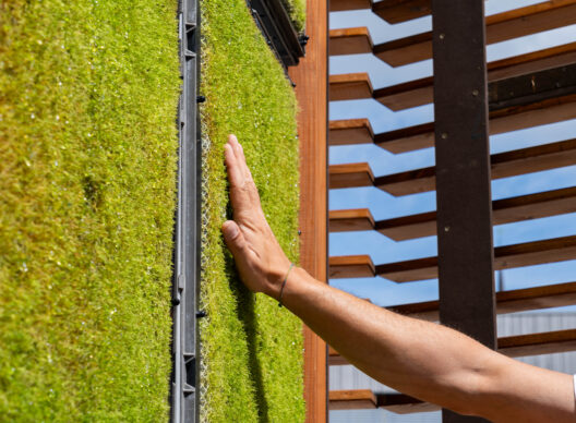 Main droite posée sur un panneau de mur végétal modulaire recouvert de mousse verte, avec un brise-soleil en lames de bois et un ciel bleu en arrière-plan.